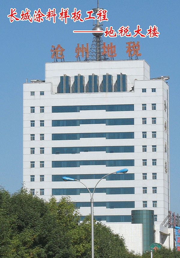 沧州地税